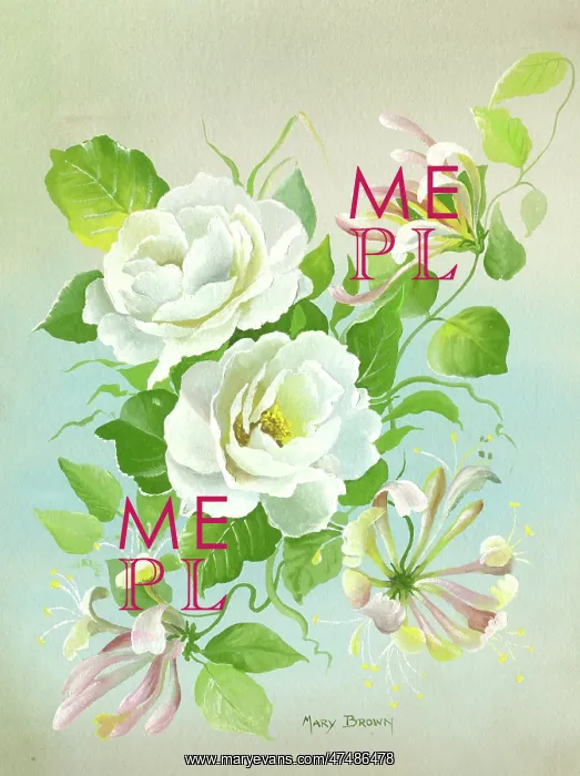  : White Roses and Honeysuckle