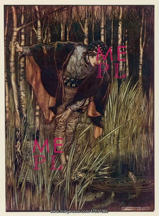 : THE WHITE SNAKE : THE WHITE SNAKE