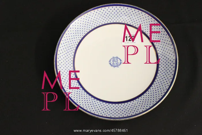 : White Star Line - Copeland Spode blue and white plate : White Star Line - Copeland Spode blue and white plate