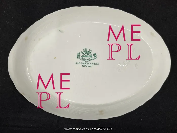 : White Star Line, John Maddock and Sons oval dish : White Star Line, John Maddock and Sons oval dish