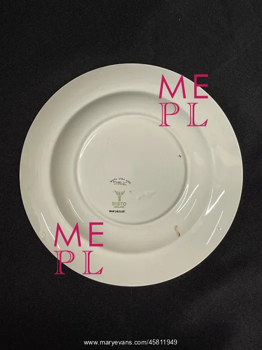 : White Star Line, Stonier OSNC dinner plate : White Star Line, Stonier OSNC dinner plate