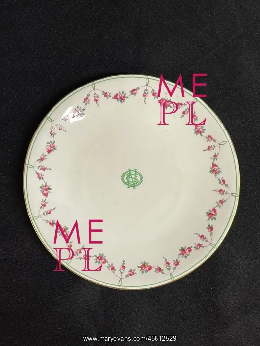 : White Star Line, Stonier OSNC Rose pattern dinner plate : White Star Line, Stonier OSNC Rose pattern dinner plate
