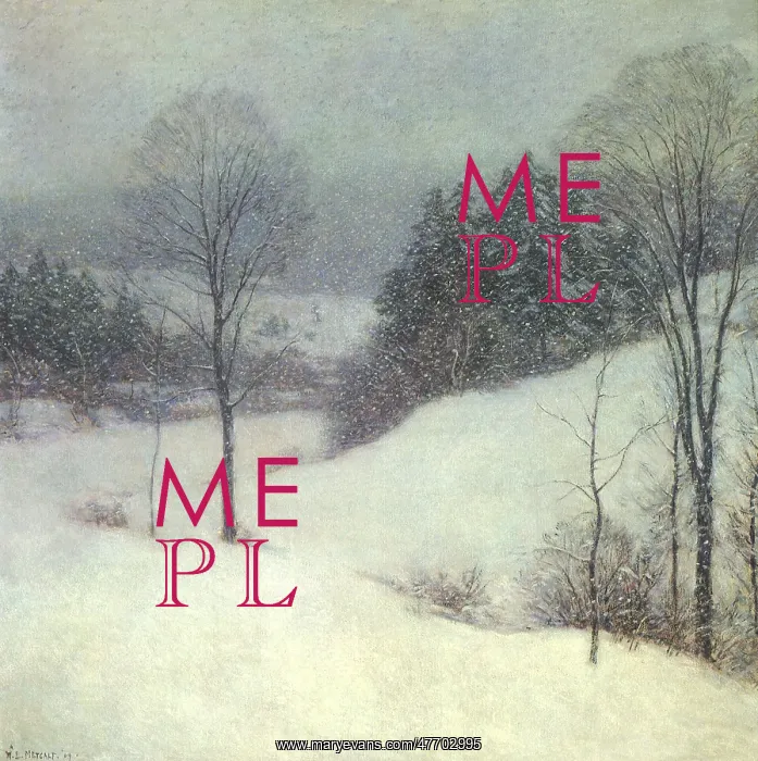 : White Veil : White Veil