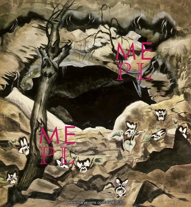  : White Violets and Coal Mine