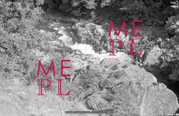 : White-water rapids on a mountain beck : White-water rapids on a mountain beck