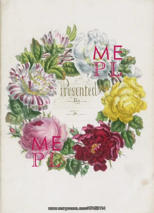 : White, yellow, and pink Roses in a circle : White, yellow, and pink Roses in a circle