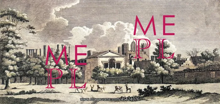 : WHITEHALL C17