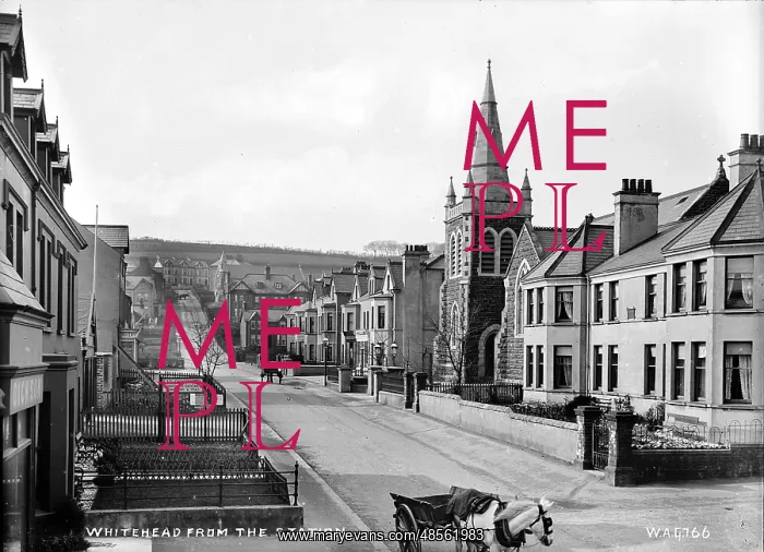 : Whitehead from the Station : Whitehead from the Station