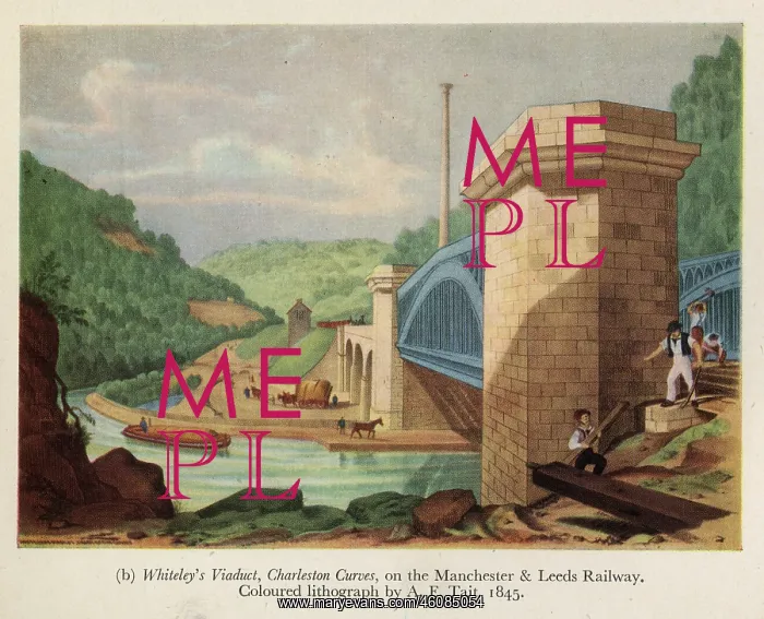  : Whiteley's Viaduct, Charleston Curves