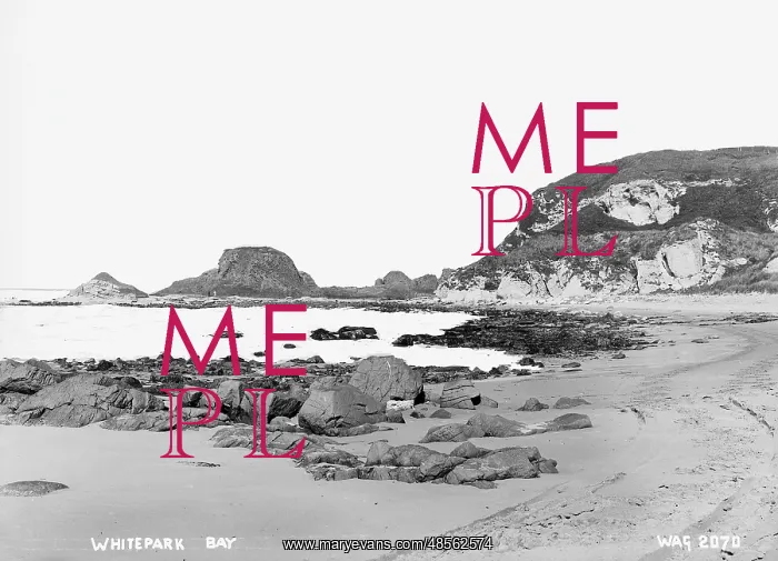 : Whitepark Bay : Whitepark Bay