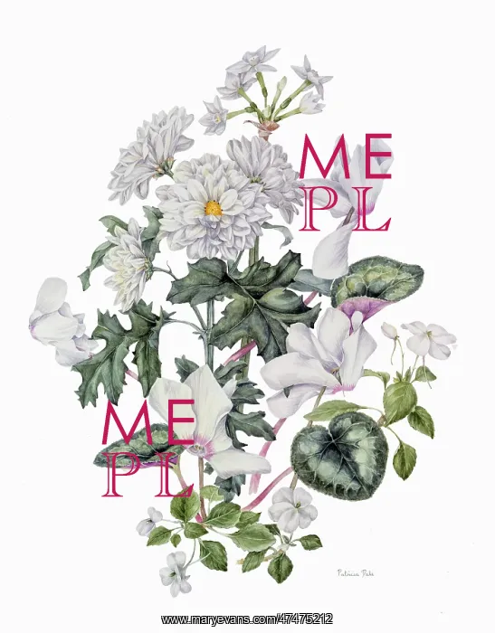 : Whites in Winter ? flower design : Whites in Winter ? flower design