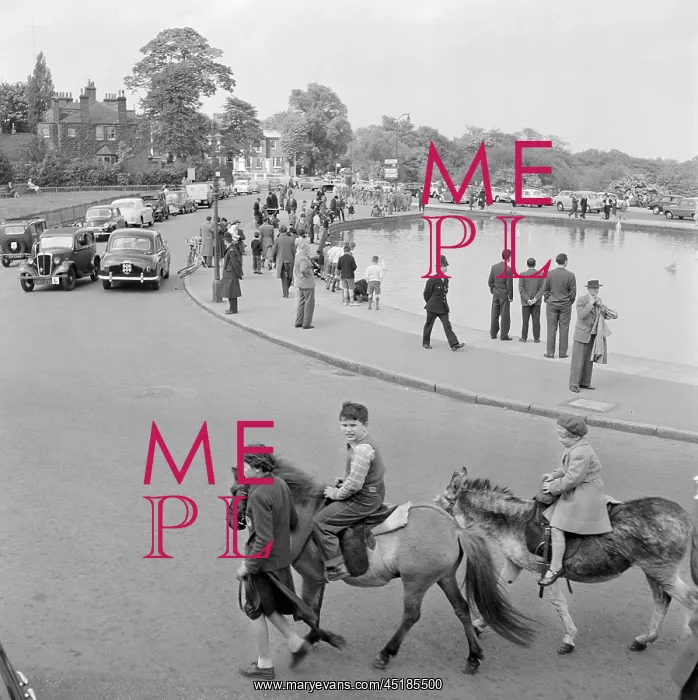 : Whitestone Pond, Hampstead : Whitestone Pond, Hampstead