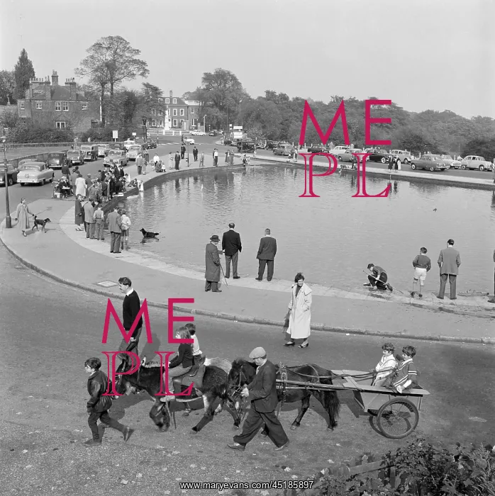 : Whitestone Pond, Hampstead : Whitestone Pond, Hampstead