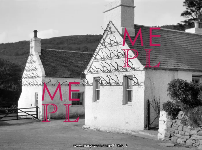  : Two whitewashed cottages with antler display