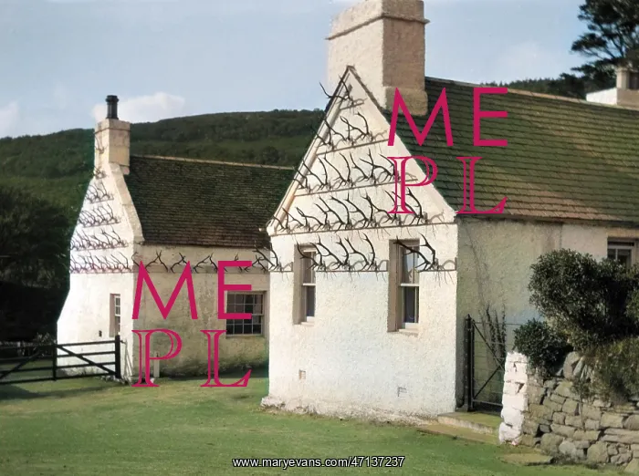 : Two whitewashed cottages with antler display : Two whitewashed cottages with antler display