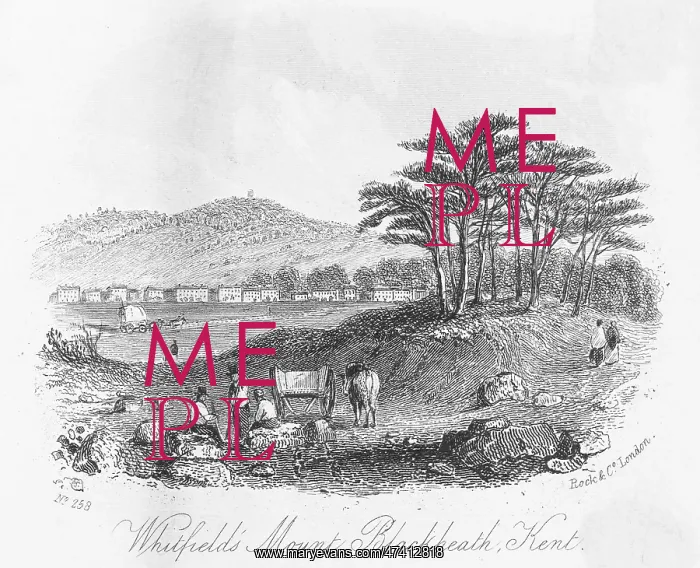 : WHITFIELD'S MOUNT : WHITFIELD'S MOUNT