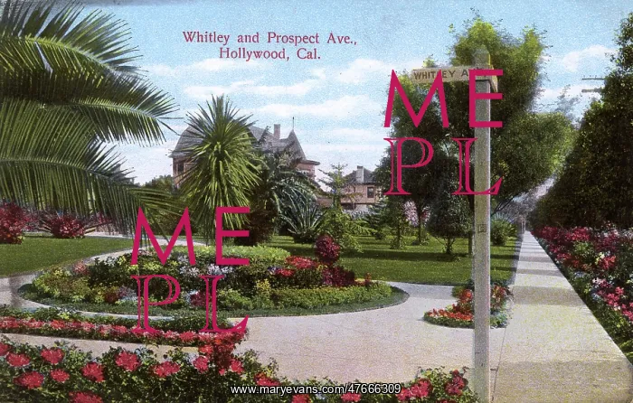 : Whitley and Prospect Avenue, Hollywood, California, USA : Whitley and Prospect Avenue, Hollywood, California, USA
