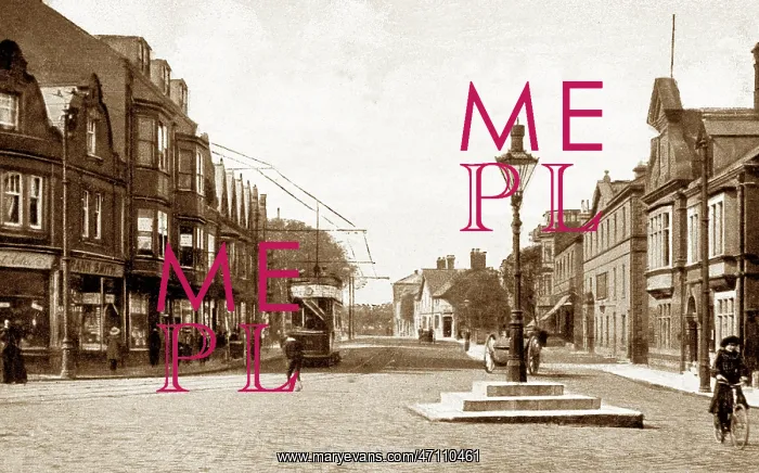  : Whitley Road, Whitley Bay early 1900's