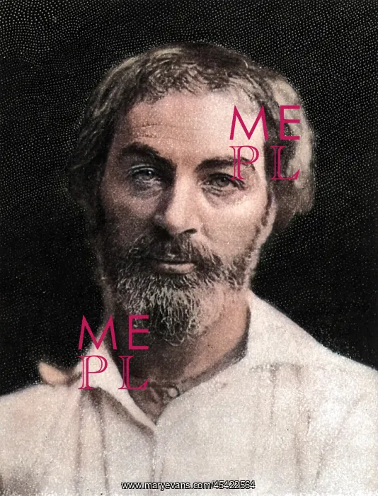  : WHITMAN. WALT WHITMAN (1819 - 1892), American poet