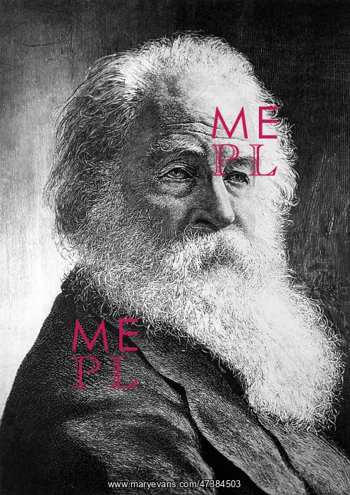  : WHITMAN. WALT WHITMAN (1819 - 1892), American poet, at the end of his life