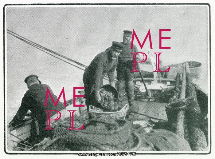 : Whitstable, Oyster Trade 1902 : Whitstable, Oyster Trade 1902
