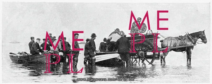 : Whitstable, Oyster Trade 1903 : Whitstable, Oyster Trade 1903