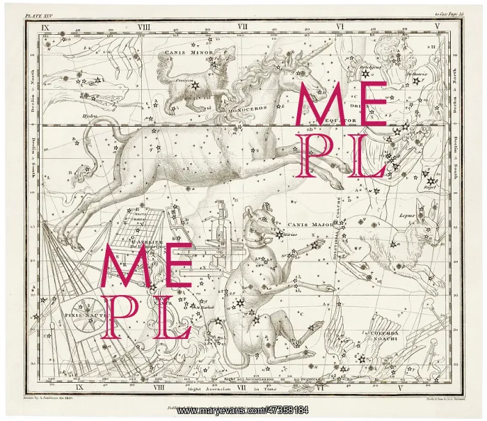  : WHITTAKER / CANIS MAJOR