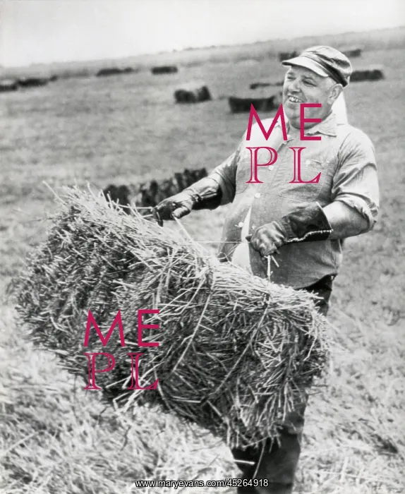 : Whittaker Chambers, at work on his farm in Westminster : Whittaker Chambers, at work on his farm in Westminster