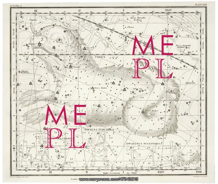  : WHITTAKER STAR MAP 23