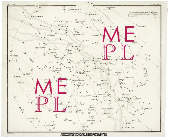  : WHITTAKER STAR MAP 29