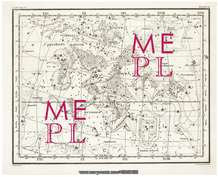  : WHITTAKER STAR MAPS 10