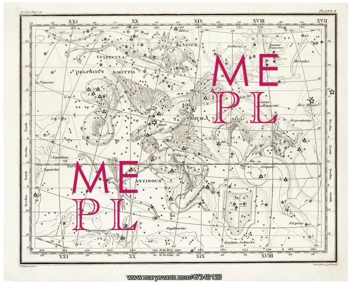  : WHITTAKER STAR MAPS 10