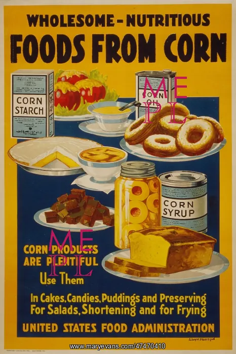 : Wholesome - nutritious foods from corn : Wholesome - nutritious foods from corn