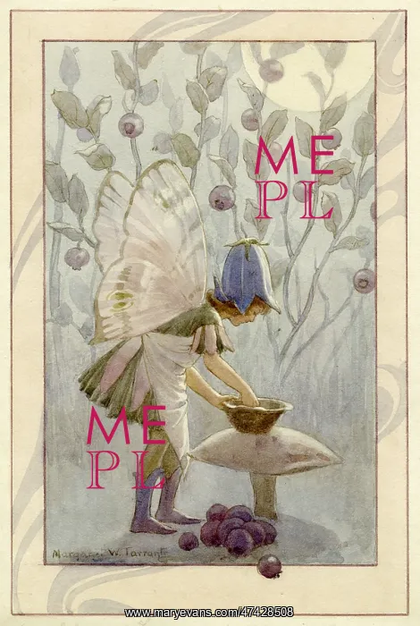 : Whortleberry Fairy : Whortleberry Fairy