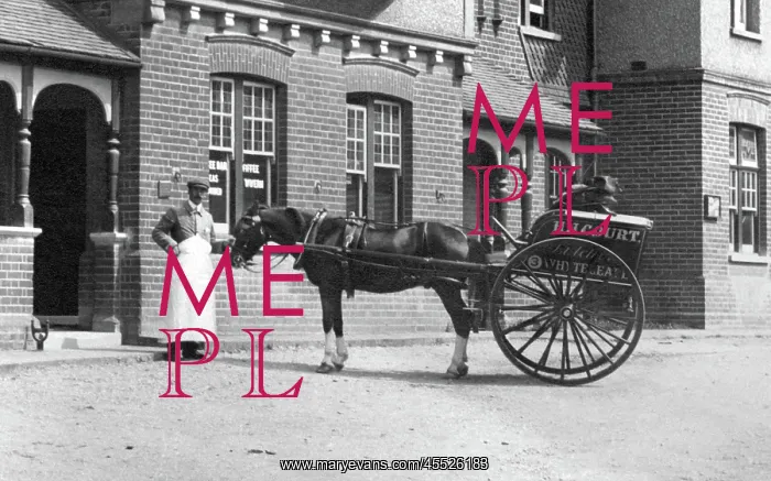  : Whyteleafe, Horse and Cart 1907