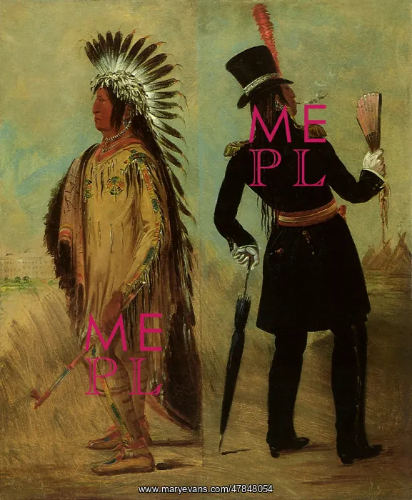 : Wi-jun-jon, Pigeon's Egg Head, by George Catlin : Wi-jun-jon, Pigeon's Egg Head, by George Catlin