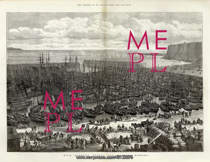 : Wick harbour during the herring season, 1875 : Wick harbour during the herring season, 1875