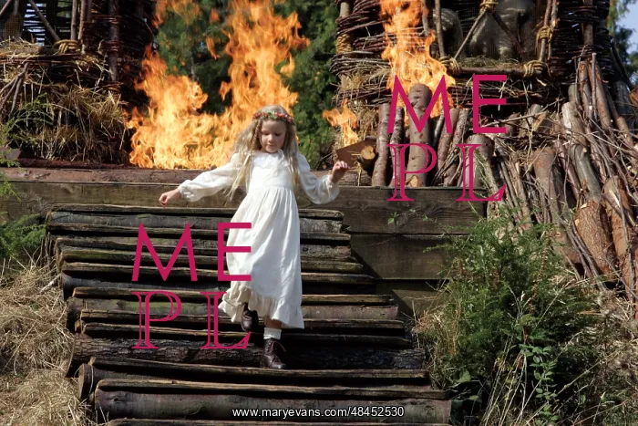 : THE WICKER MAN : THE WICKER MAN