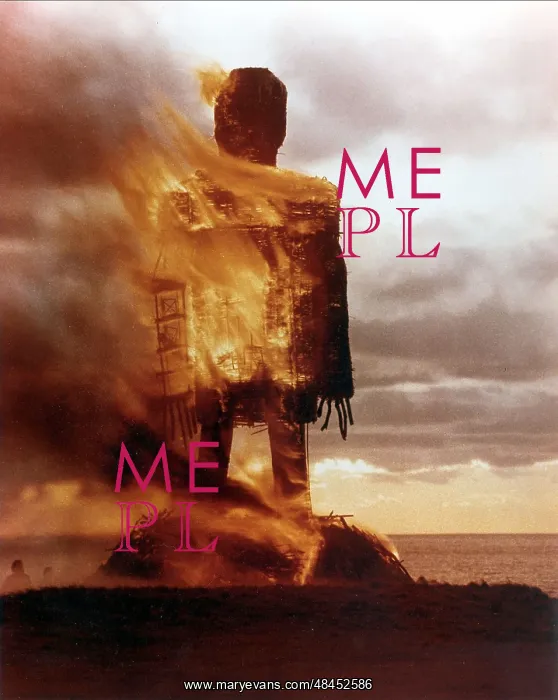 : THE WICKERMAN : THE WICKERMAN