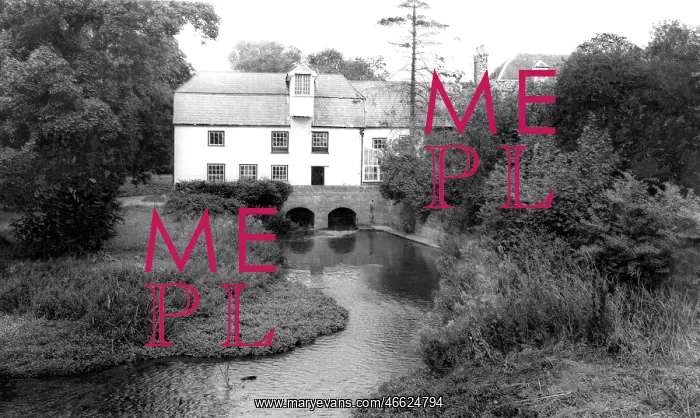  : Wickham Bishops, Blue Mill c1960