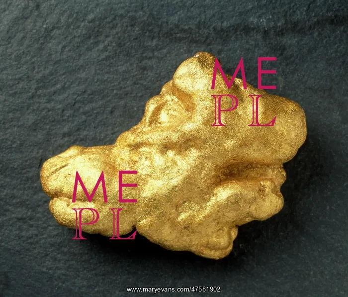: The Wicklow gold nugget : The Wicklow gold nugget