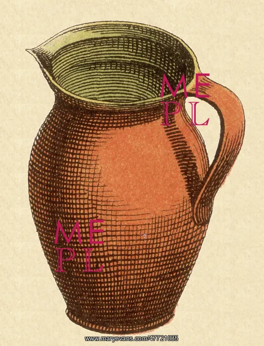 : Wide-Mouthed Pitcher : Wide-Mouthed Pitcher