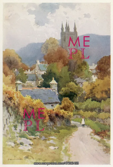  : WIDECOMBE IN THE MOOR