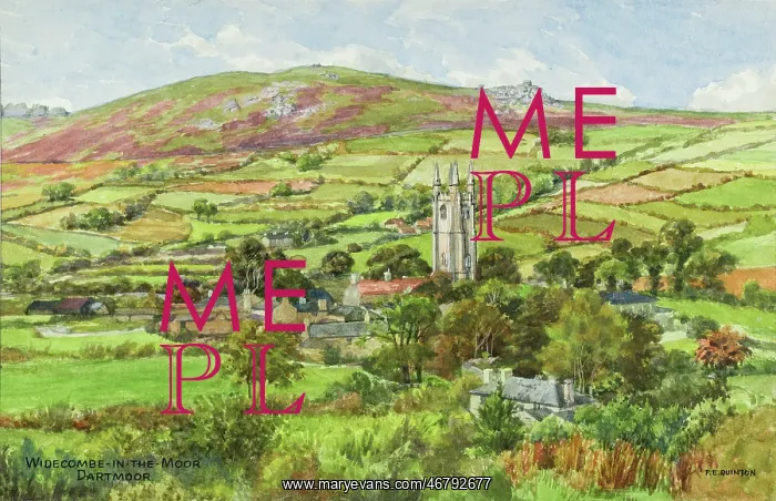: Widecombe in the Moor, Dartmoor, Devon : Widecombe in the Moor, Dartmoor, Devon