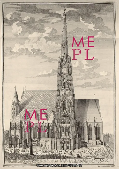 : Wien: St. Stephan's Cathedral : Wien: St. Stephan's Cathedral