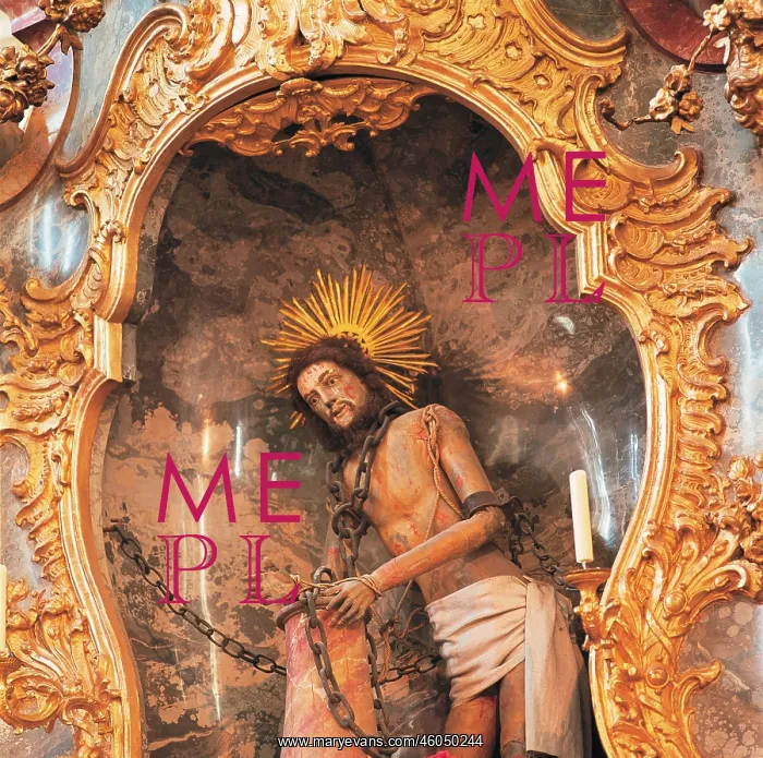 : The Wies savior : The Wies savior