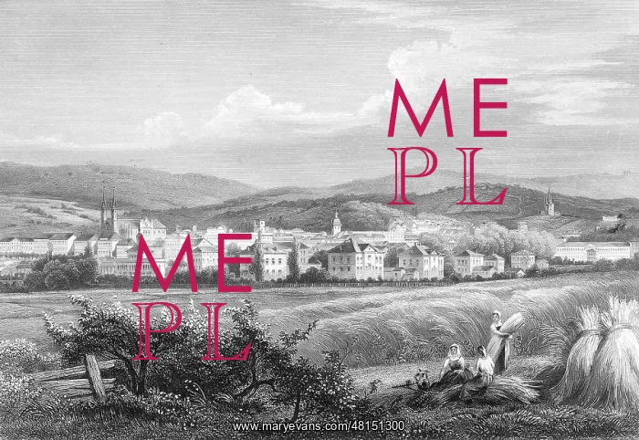 : Wiesbaden in the 19th Century : Wiesbaden in the 19th Century