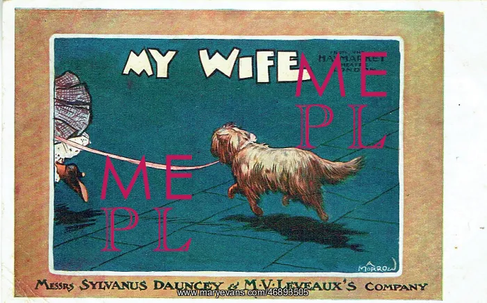 : My Wife by Michael Morton : My Wife by Michael Morton