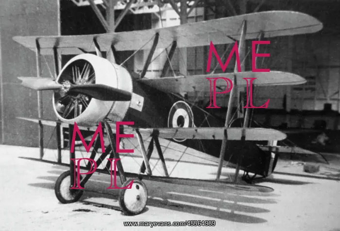 : Wight Quadruplane Fighter built to an RFC need is seen : Wight Quadruplane Fighter built to an RFC need is seen