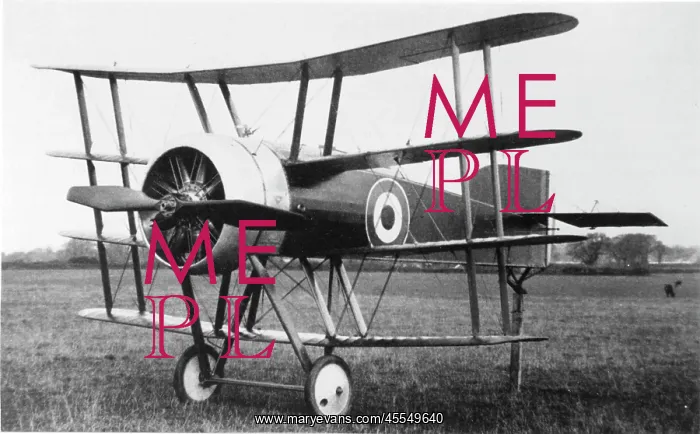 : Wight Quadruplane single-seat fighter : Wight Quadruplane single-seat fighter